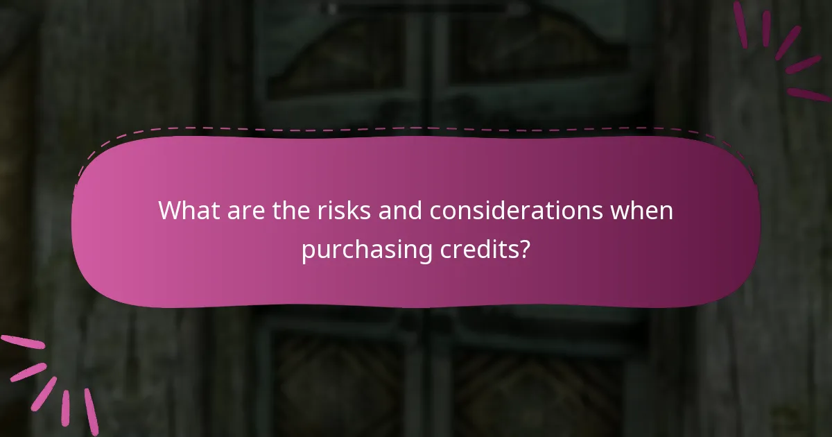 What are the risks and considerations when purchasing credits?